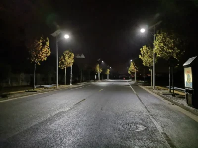 IJL-SSL-G solar street light system with panel and pole